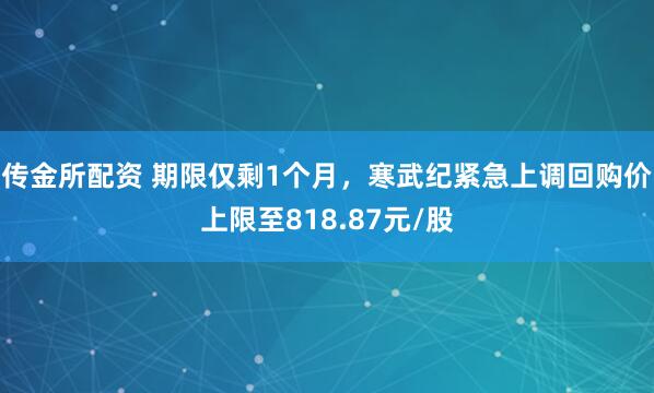 传金所配资 期限仅剩1个月，寒武纪紧急上调回购价上限至818.87元/股