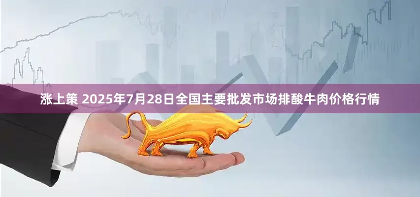 涨上策 2025年7月28日全国主要批发市场排酸牛肉价格行情